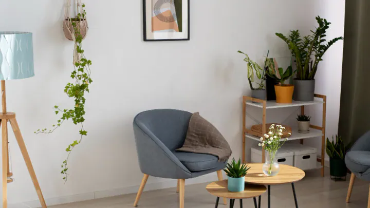 Embrace Minimalist Living: Declutter Your Space and Mind