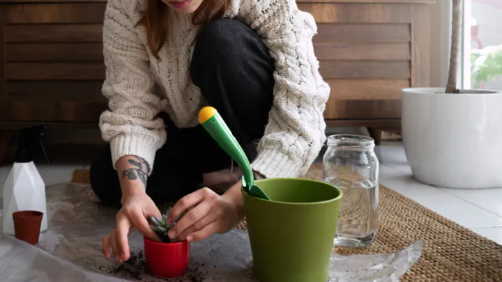 How to Compost Waste: Step-by-Step Guide to Garden Gold