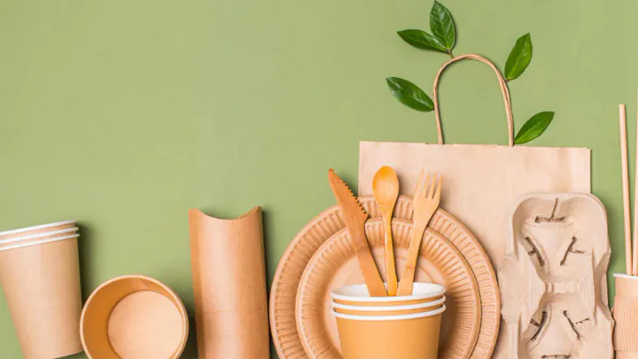 Eco-Friendly Swaps for Everyday Products in 2025